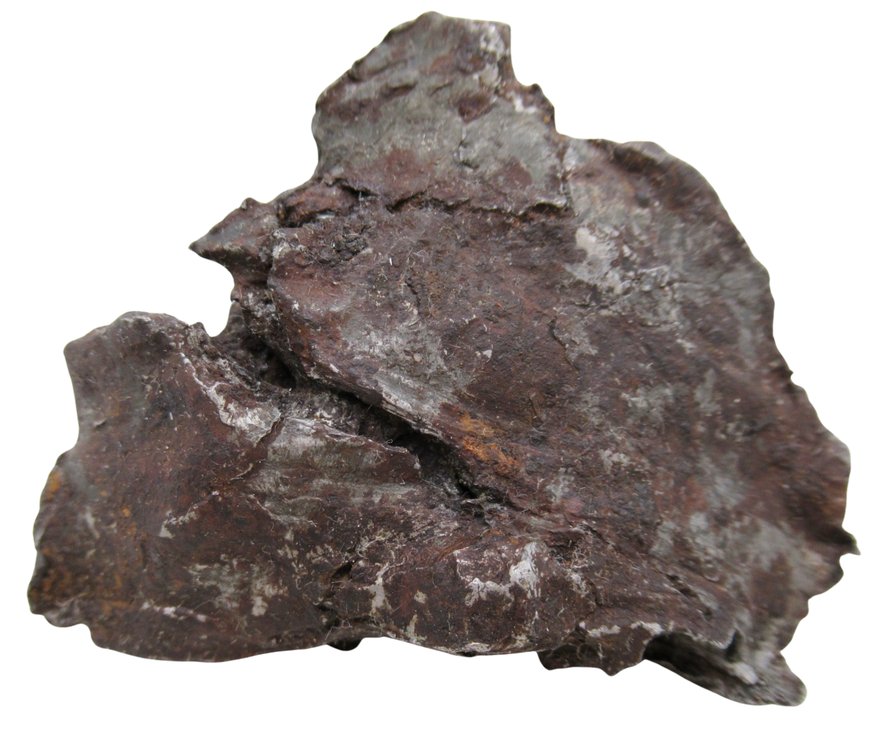 Nantan Iron Meteorite Fragment from China For Sale 1087 gram 15b | Fossils for Sale Genuine Nantan Iron Meteorite Fragment from China For Sale 783 gram #15b