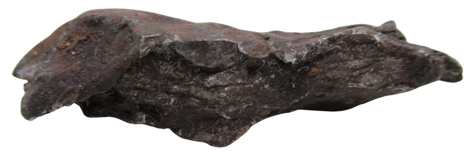 Nantan Iron Meteorite Fragment from China For Sale 1087 gram 15c | Fossils for Sale Genuine Nantan Iron Meteorite Fragment from China For Sale 783 gram #15c