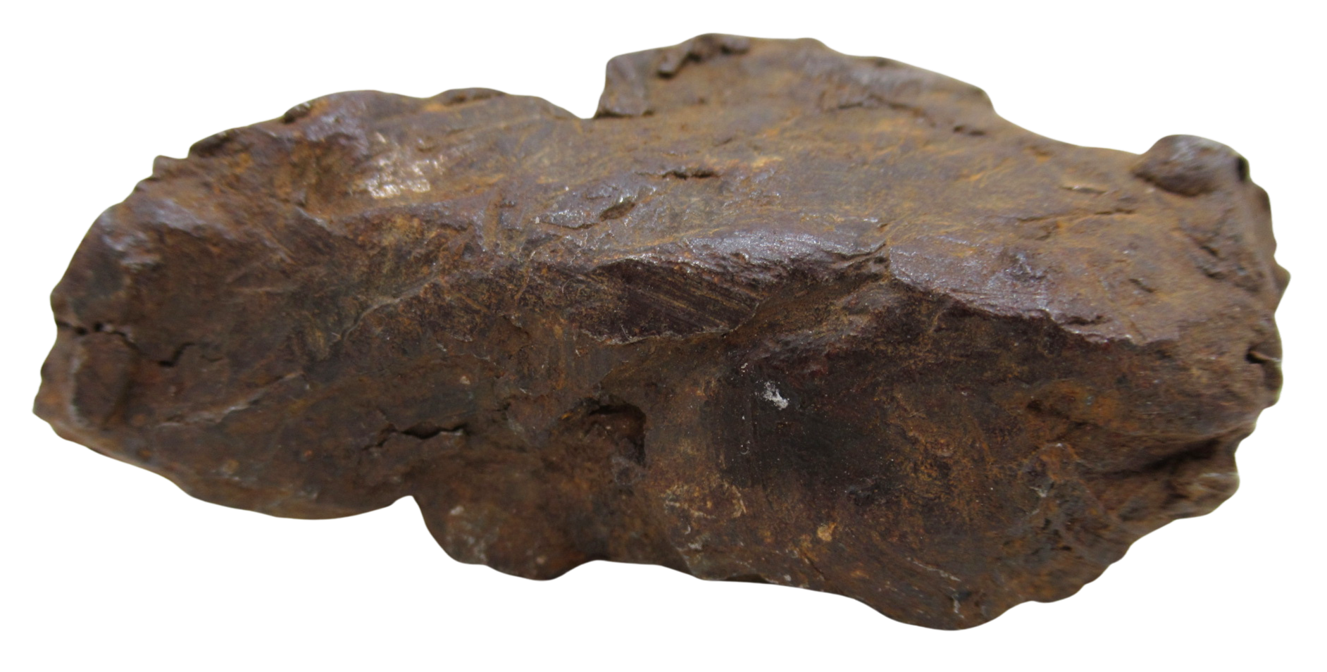Nantan Iron Meteorite Fragment from China For Sale 783 gram 16a | Fossils for Sale Genuine Nantan Iron Meteorite Fragment from China For Sale 783 gram #16a