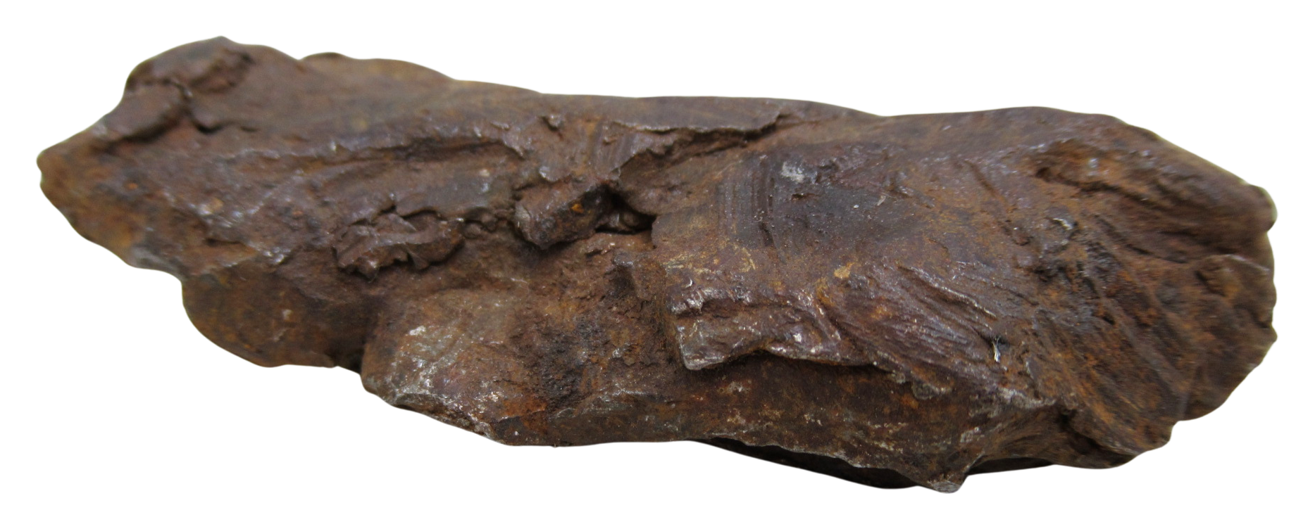 Nantan Iron Meteorite Fragment from China For Sale 783 gram 16b | Fossils for Sale Genuine Nantan Iron Meteorite Fragment from China For Sale 783 gram #16b