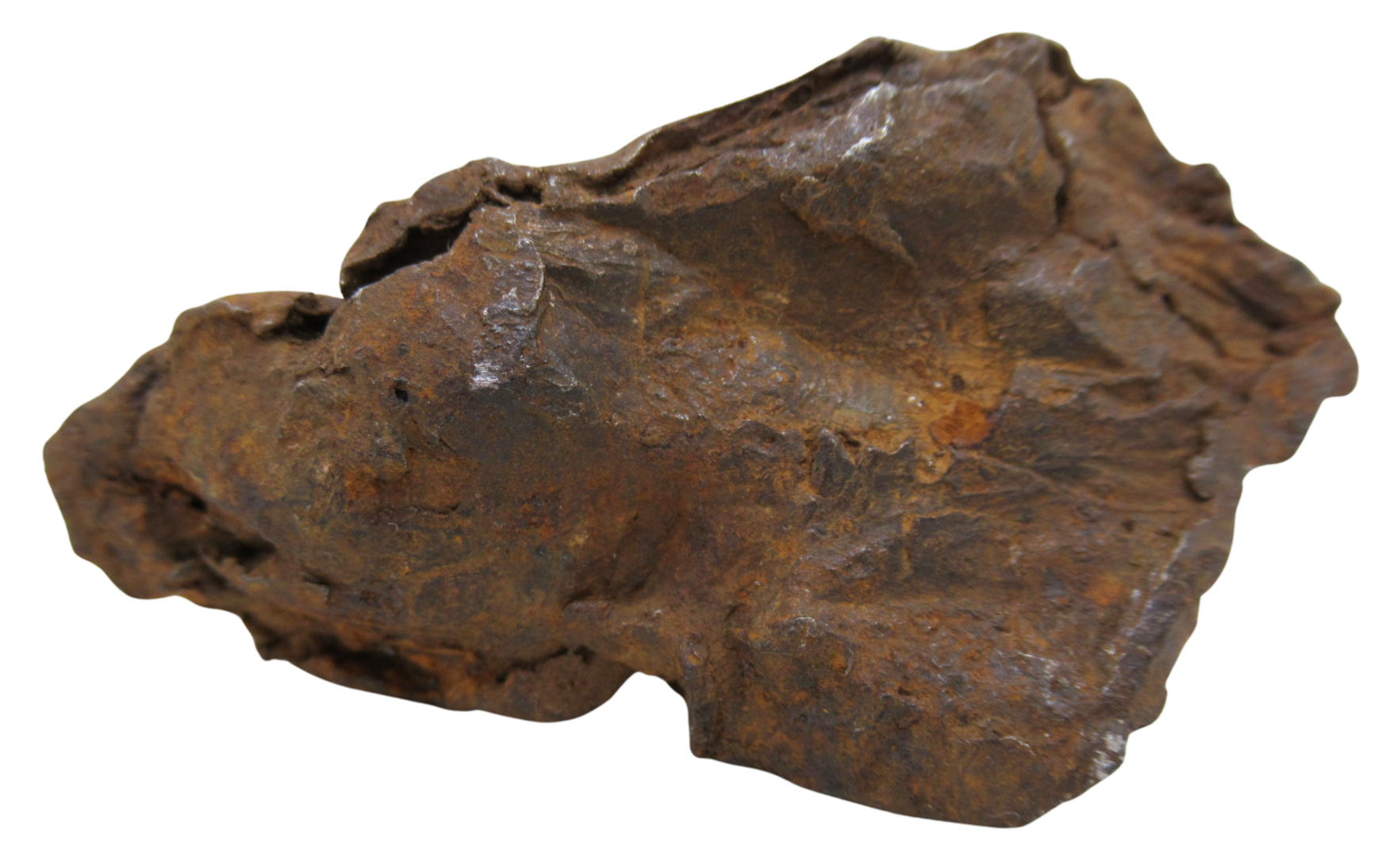 Nantan Iron Meteorite Fragment from China For Sale 783 gram 16c | Fossils for Sale Genuine Nantan Iron Meteorite Fragment from China For Sale 783 gram #16c