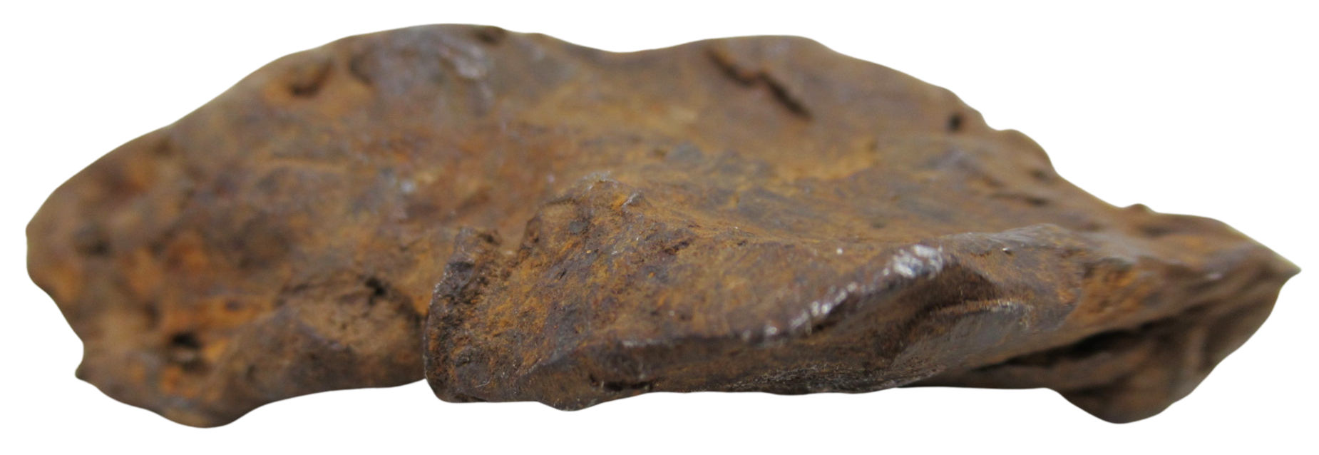 Nantan Iron Meteorite Fragment from China For Sale 783 gram 16d | Fossils for Sale Genuine Nantan Iron Meteorite Fragment from China For Sale 783 gram #16d