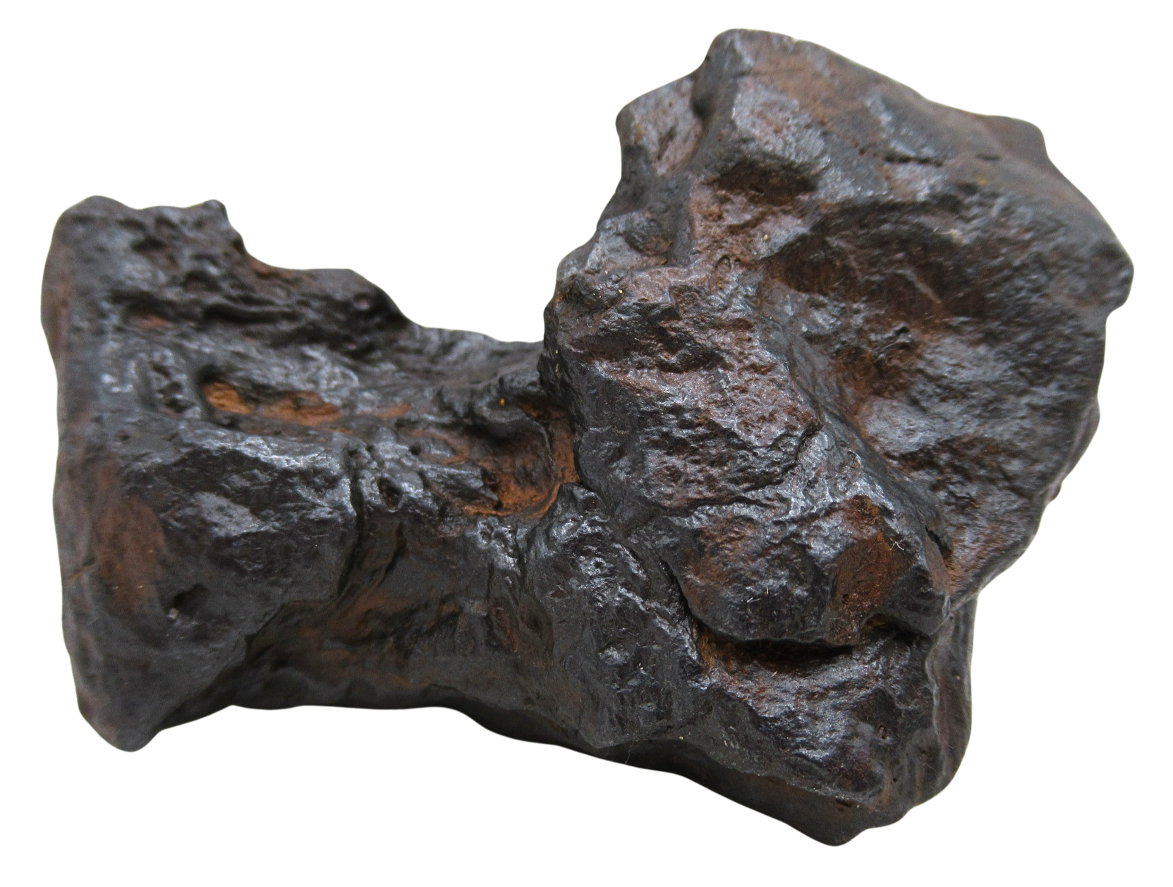 Nantan Iron Meteorite Fragment from China For Sale 863 gram 14c | Fossils for Sale Genuine Nantan Iron Meteorite Fragment from China For Sale 783 gram #14c