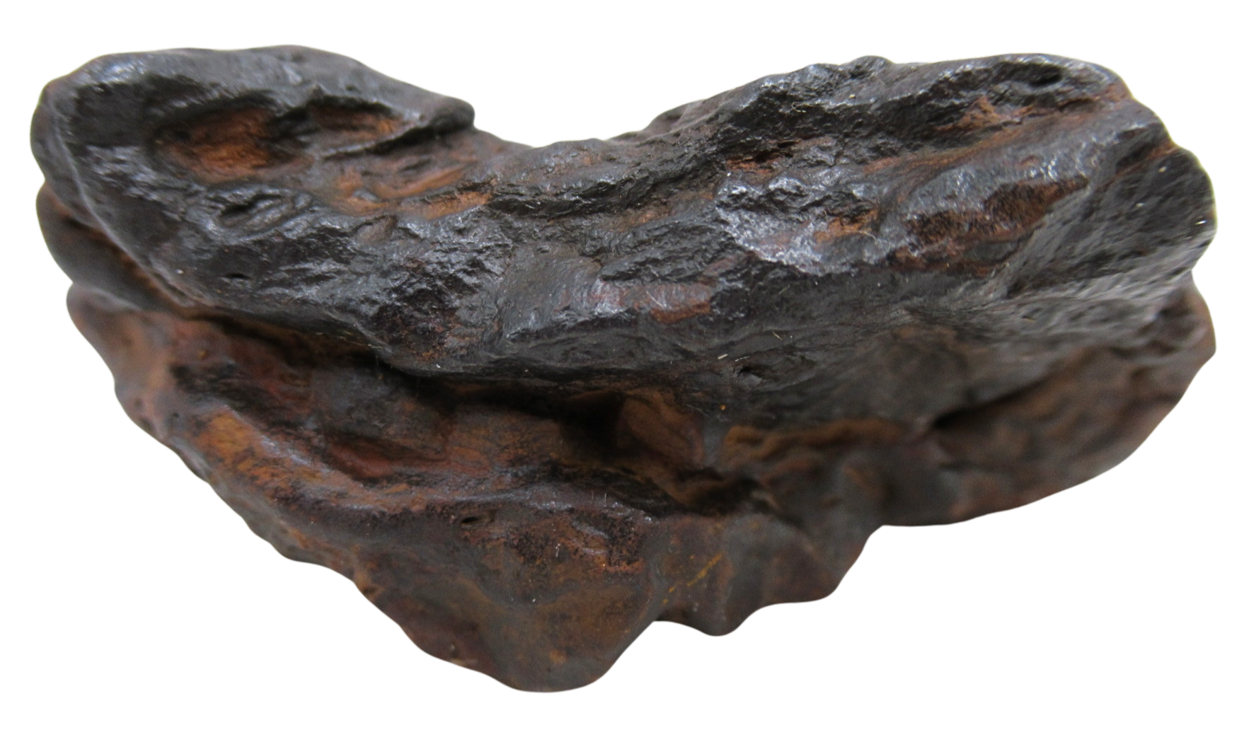 Nantan Iron Meteorite Fragment from China For Sale 863 gram 14d | Fossils for Sale Genuine Nantan Iron Meteorite Fragment from China For Sale 783 gram #14d