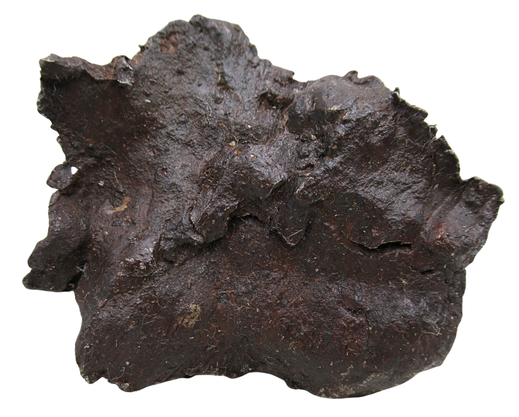 Nantan Iron Meteorite Fragment from China For Sale 985 gram 13b | Fossils for Sale Genuine Nantan Iron Meteorite Fragment from China For Sale 783 gram #13b