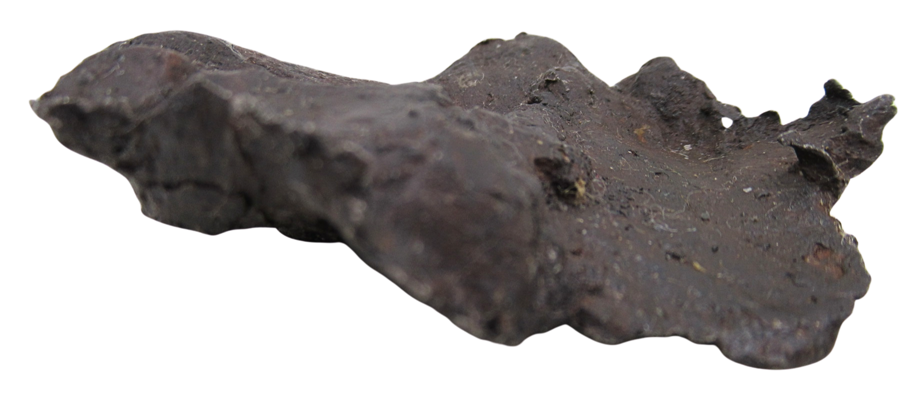 Nantan Iron Meteorite Fragment from China For Sale 985 gram 13c | Fossils for Sale Genuine Nantan Iron Meteorite Fragment from China For Sale 783 gram #13c