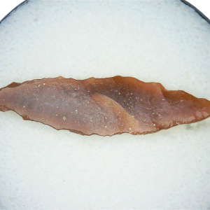 Paleolithic Stone Tools for Sale from Atlas Mountains #10