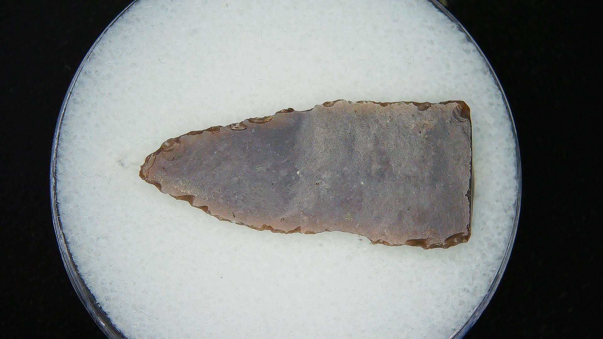 Paleolithic Stone Tools for Sale from Atlas Mountains 11a | Fossils for Sale Paleolithic Stone Tools for Sale from Atlas Mountains #11a