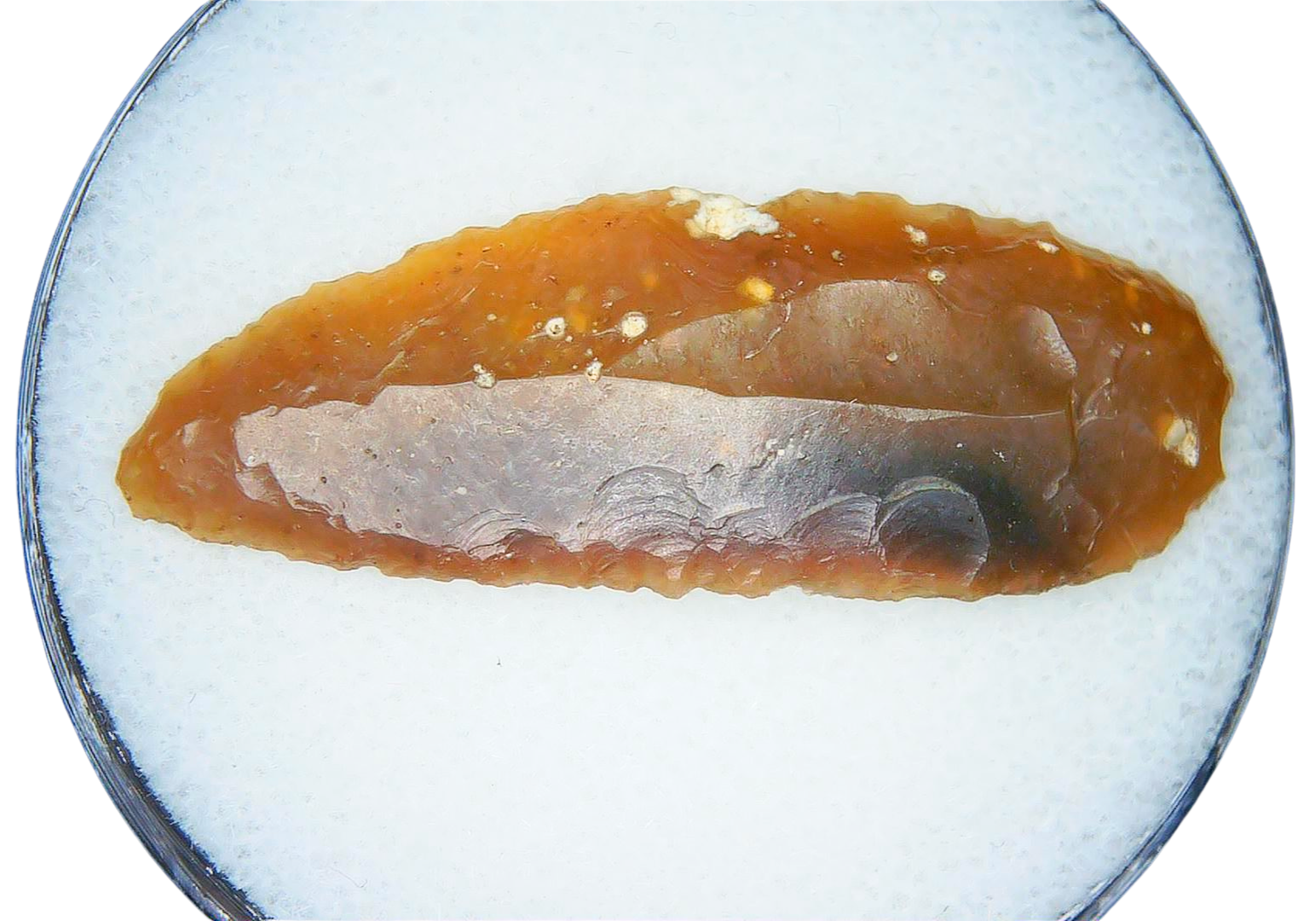 Paleolithic Stone Tools for Sale from Atlas Mountains 3 | Fossils for Sale Paleolithic Stone Tools for Sale from Atlas Mountains #3