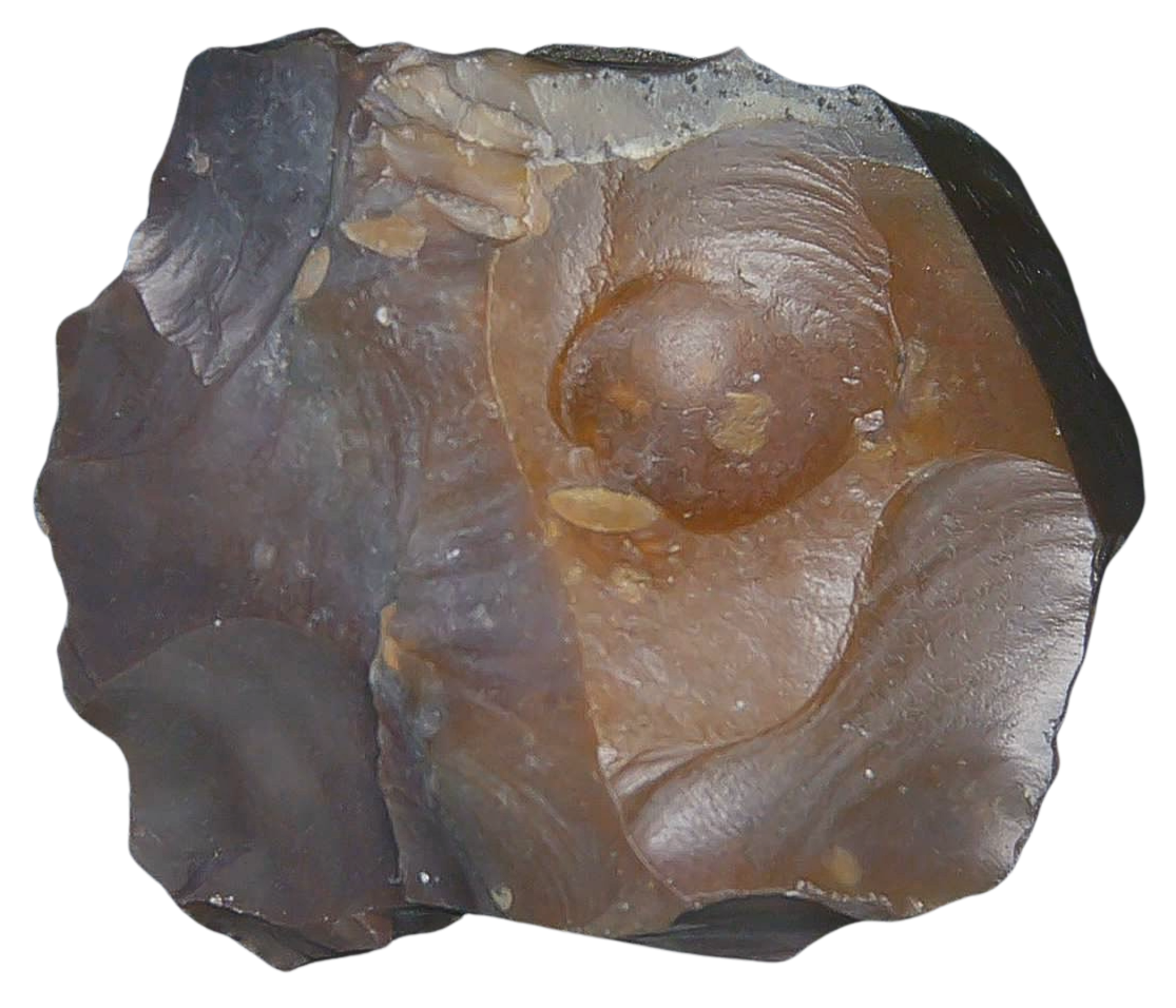 Paleolithic Stone Tools for Sale from Atlas Mountains Scraper 16a | Fossils for Sale Paleolithic Stone Tools for Sale from Atlas Mountains (Scraper) #16a