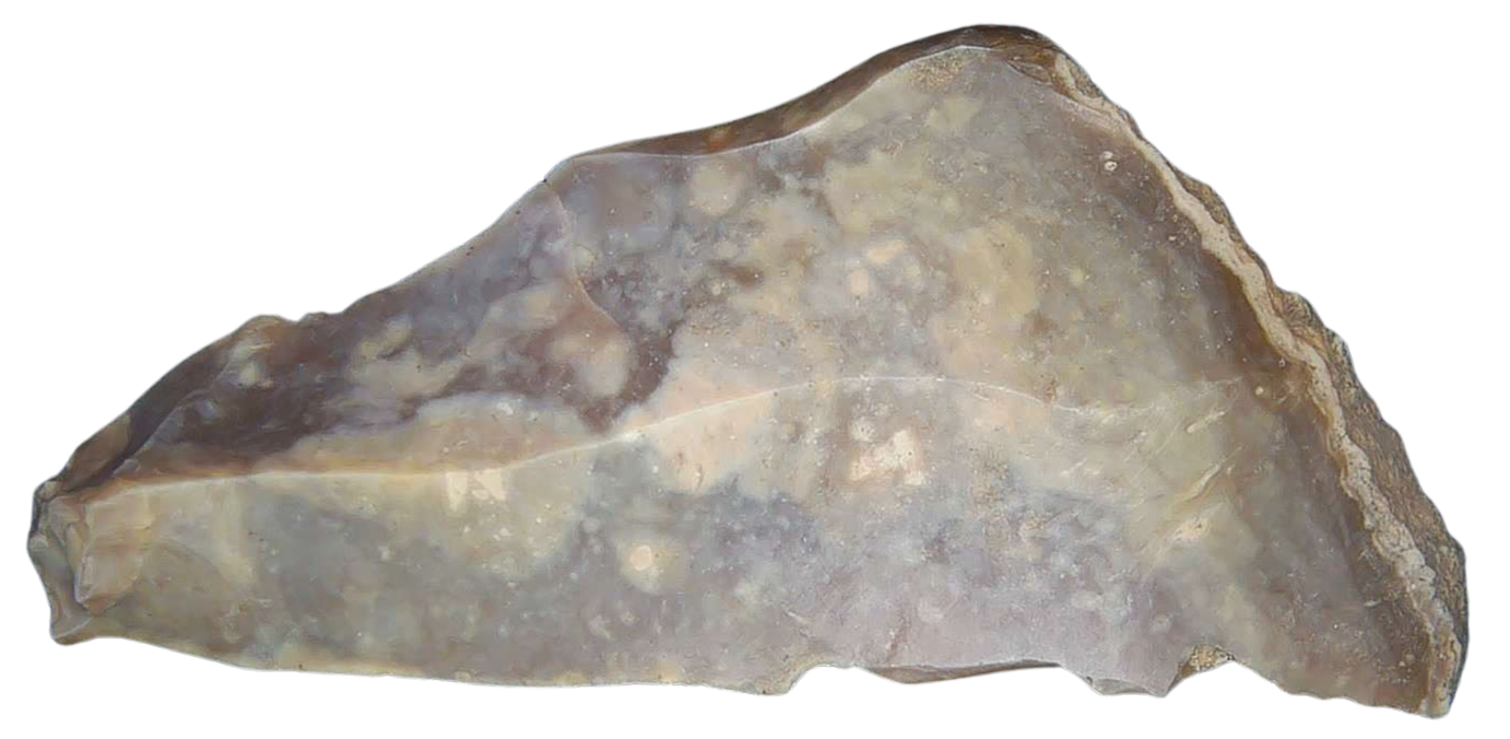 Paleolithic Stone Tools for Sale from Atlas Mountains Scraper or Knife 15 | Fossils for Sale Paleolithic Stone Tools for Sale from Atlas Mountains (Scraper or Knife) #15