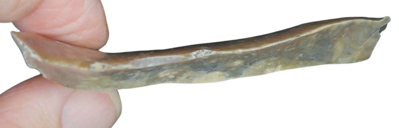 Paleolithic Stone Tools for Sale from Atlas Mountains Scraper or Knife 15b | Fossils for Sale Paleolithic Stone Tools for Sale from Atlas Mountains (Scraper or Knife) #15b