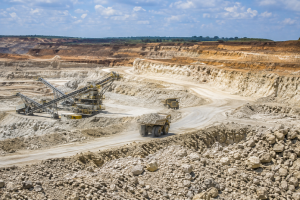 Phosphate Mine | Fossils for Sale Negaprion eurybathrodon Teeth for Sale
