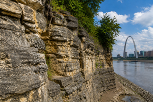 St Louis Limestone | Fossils for Sale St. Louis Limestone