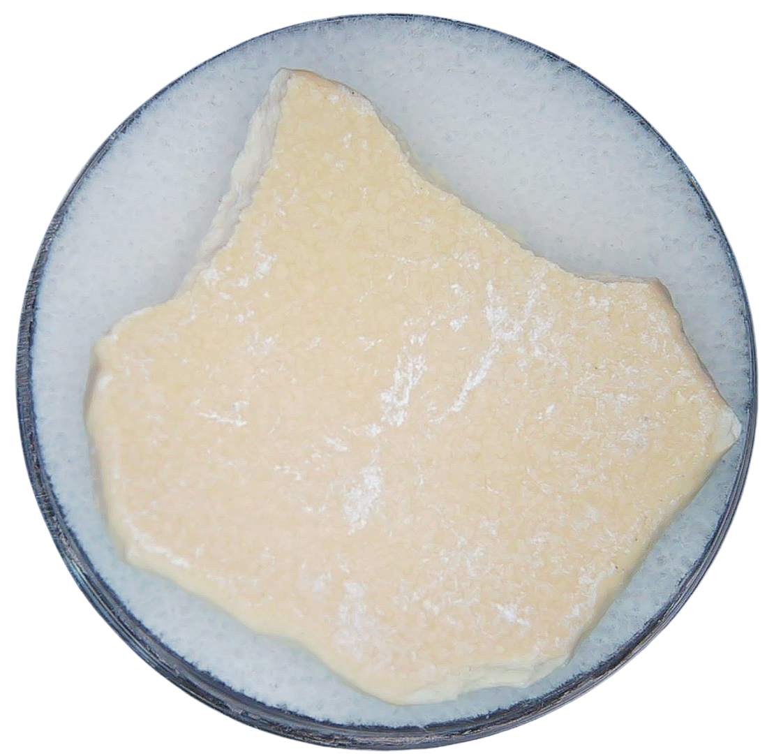 Aepyornis Eggshell Fossil for Sale from Madagascar 39a | Fossils for Sale Aepyornis Eggshell Fossil for Sale from Madagascar 39a