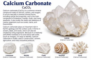 Calcium Carbonate | Fossils for Sale Dogtooth Calcite Minerals for Sale