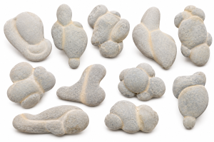 Canadian Fairy Stones | Fossils for Sale Calcite Fairy Stones For Sale