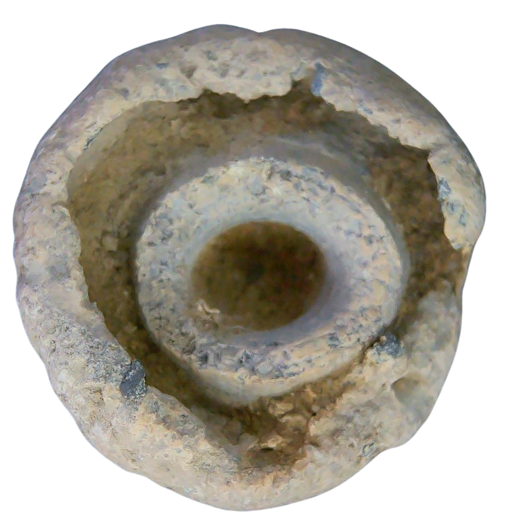 Civil War Artifacts For Sale Authentic Civil War Relics 13a | Fossils for Sale