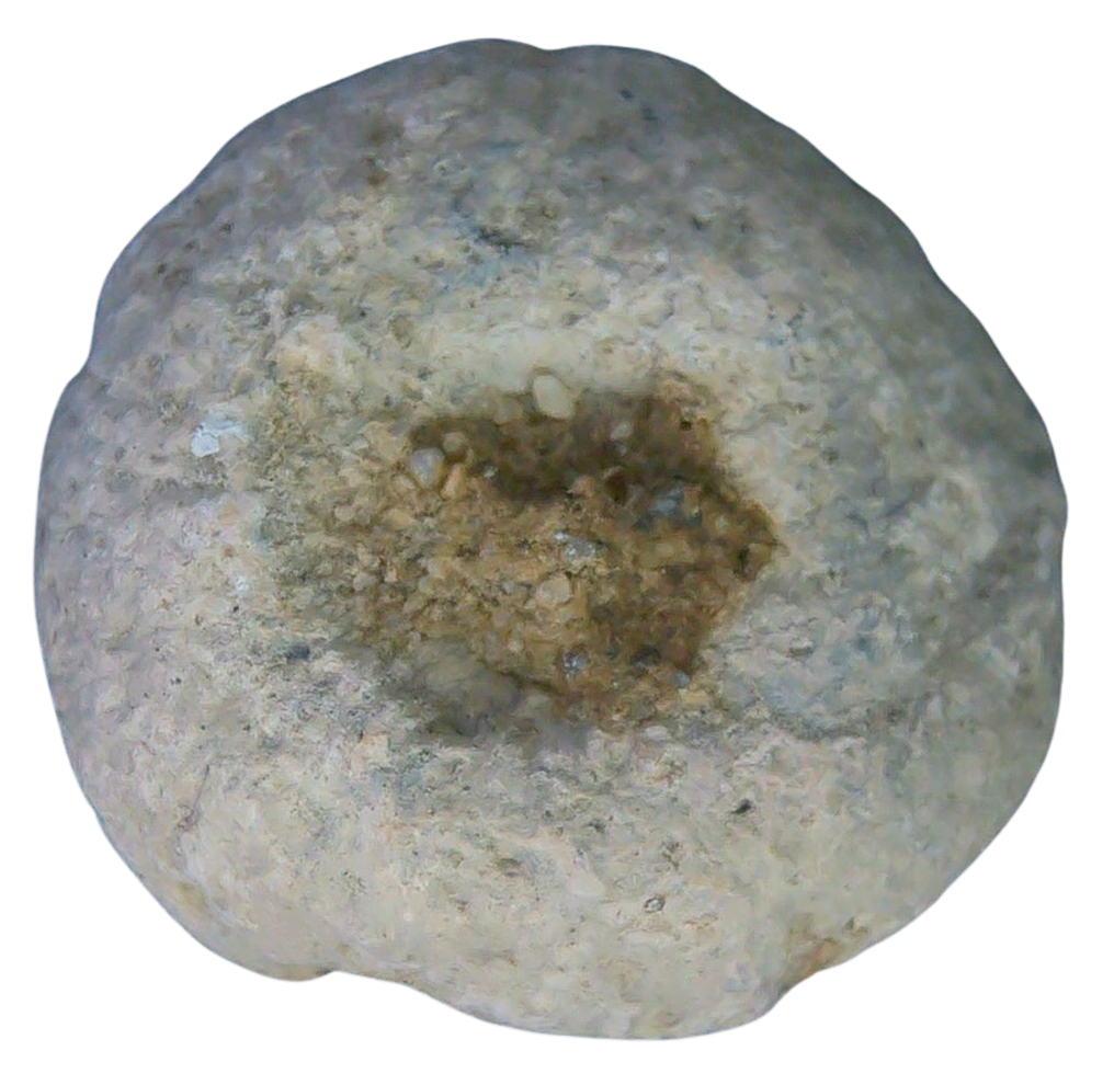 Civil War Artifacts For Sale Authentic Civil War Relics 13b | Fossils for Sale