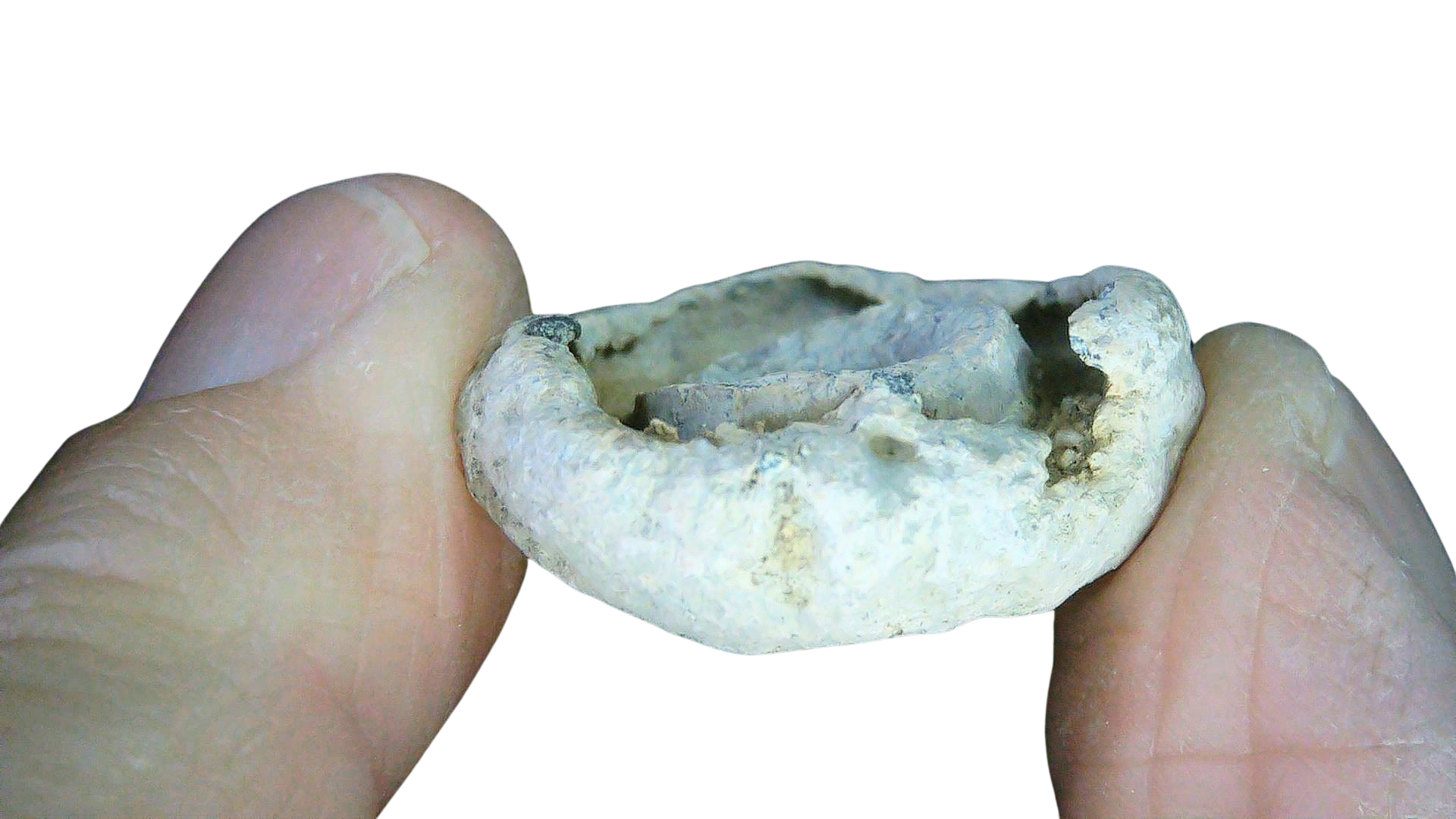 Civil War Artifacts For Sale Authentic Civil War Relics 13c | Fossils for Sale