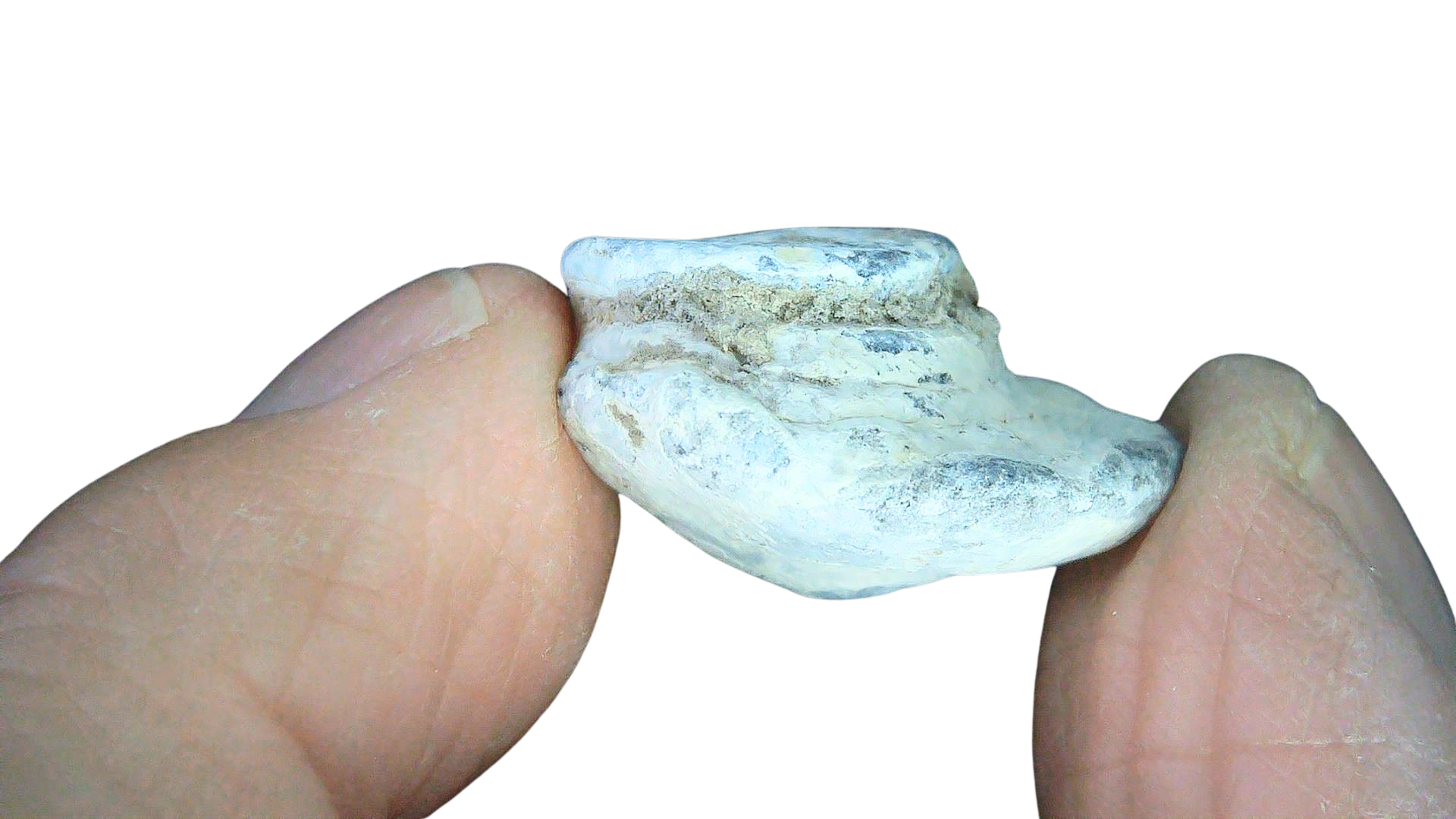 Civil War Artifacts For Sale Authentic Civil War Relics 15c | Fossils for Sale