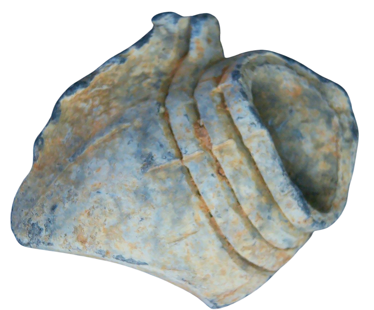 Civil War Artifacts For Sale Authentic Civil War Relics 16a | Fossils for Sale