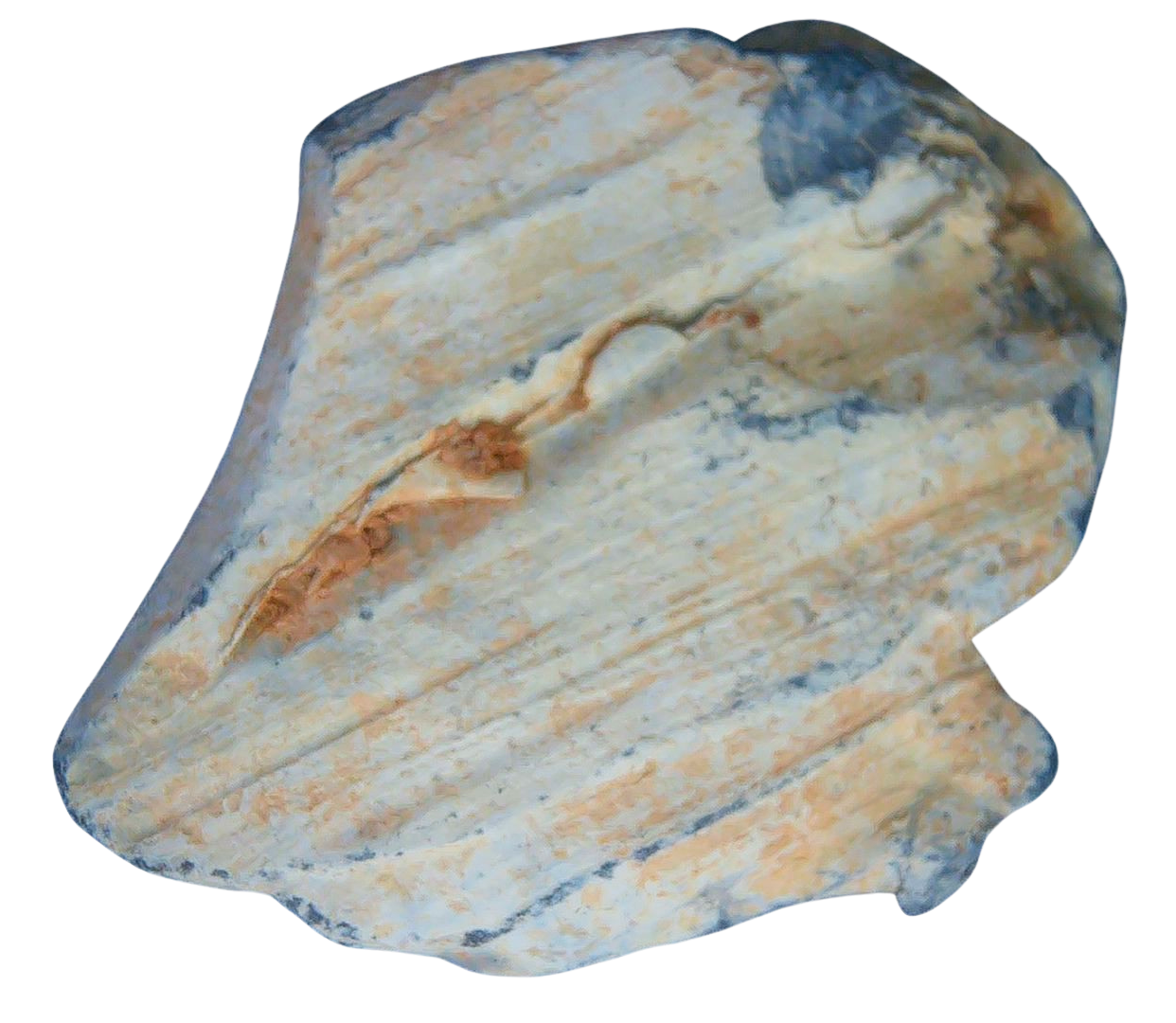 Civil War Artifacts For Sale Authentic Civil War Relics 16b | Fossils for Sale