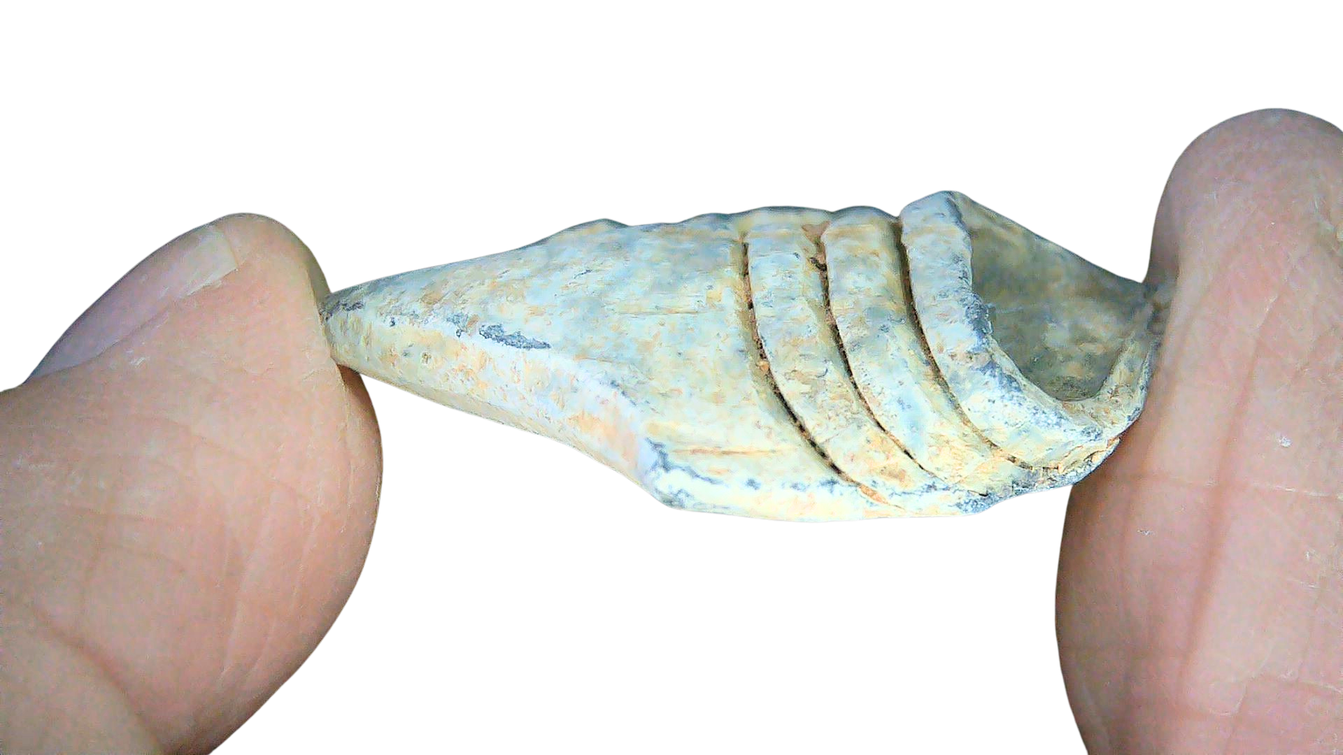 Civil War Artifacts For Sale Authentic Civil War Relics 16c | Fossils for Sale