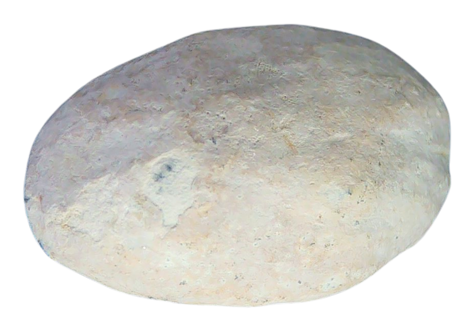 Civil War Artifacts For Sale Authentic Civil War Relics 18b | Fossils for Sale
