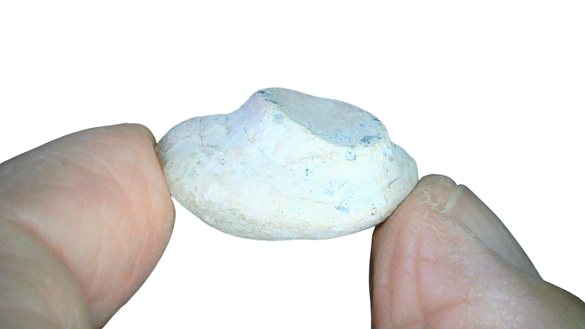 Civil War Artifacts For Sale Authentic Civil War Relics 18c | Fossils for Sale