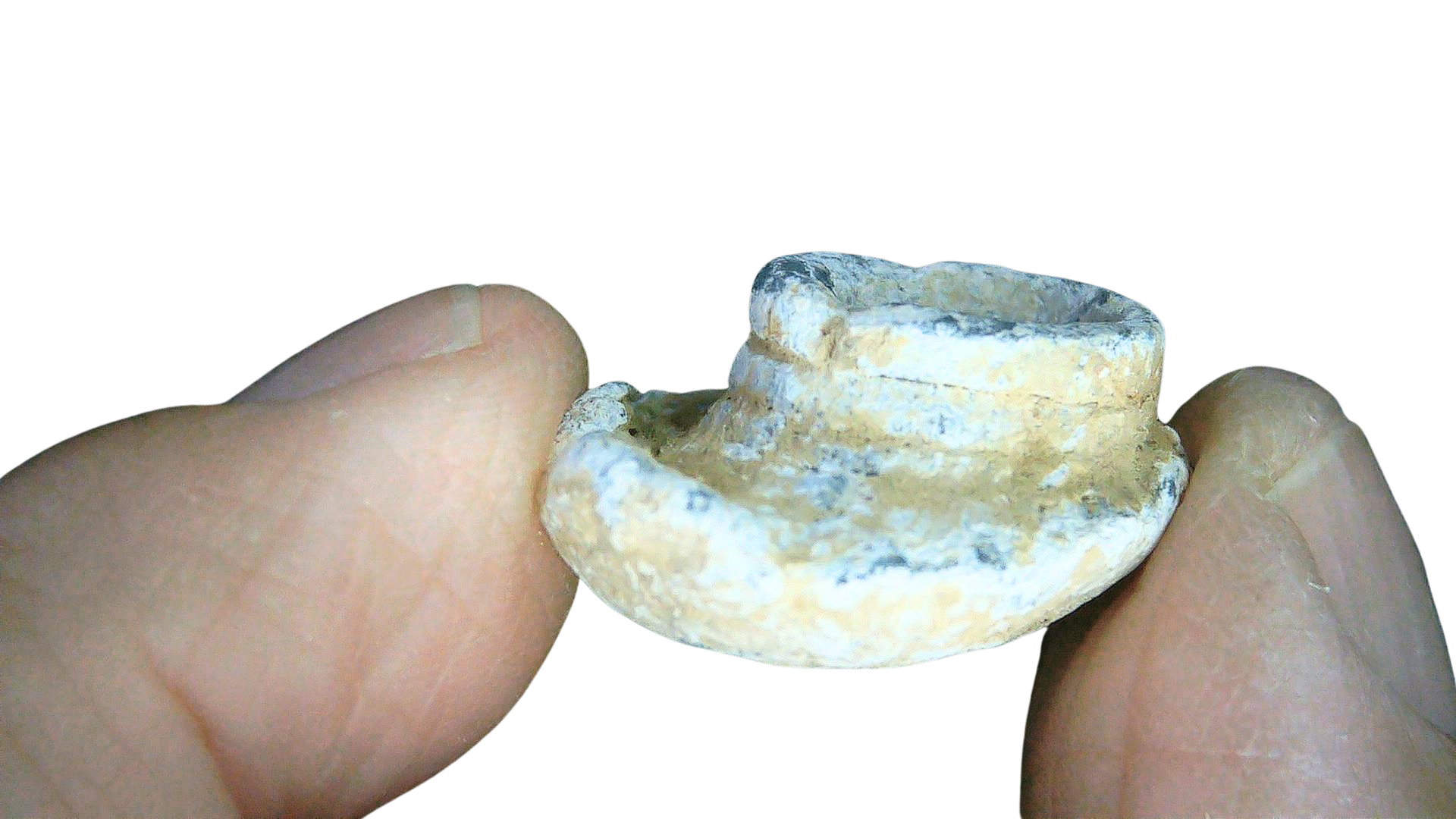 Civil War Artifacts For Sale Authentic Civil War Relics 20c | Fossils for Sale