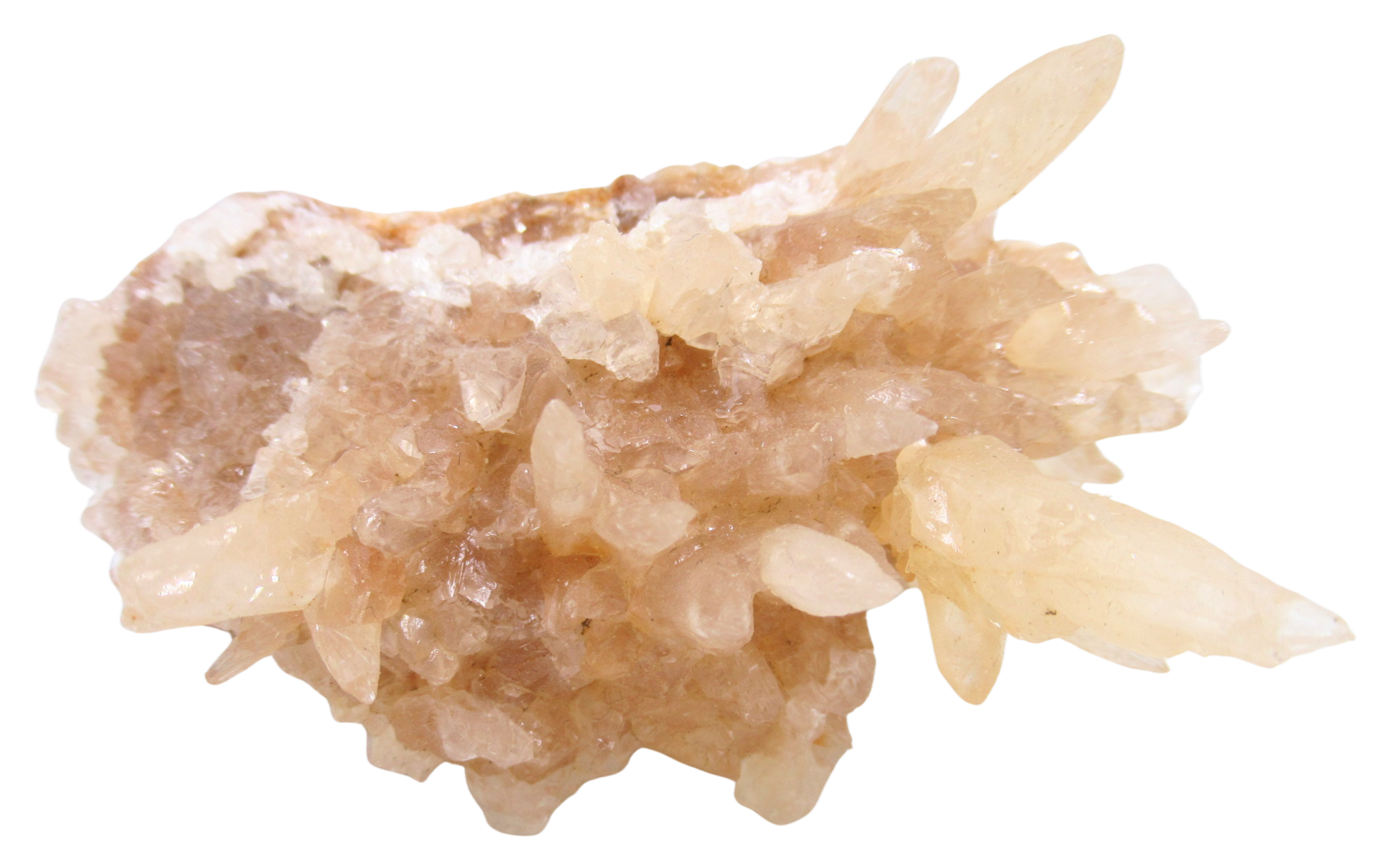 Dogtooth Calcite Minerals for Sale from Morocco Calcium Carbonate 2a | Fossils for Sale Dogtooth Calcite Minerals for Sale from Morocco Calcium Carbonate #2a