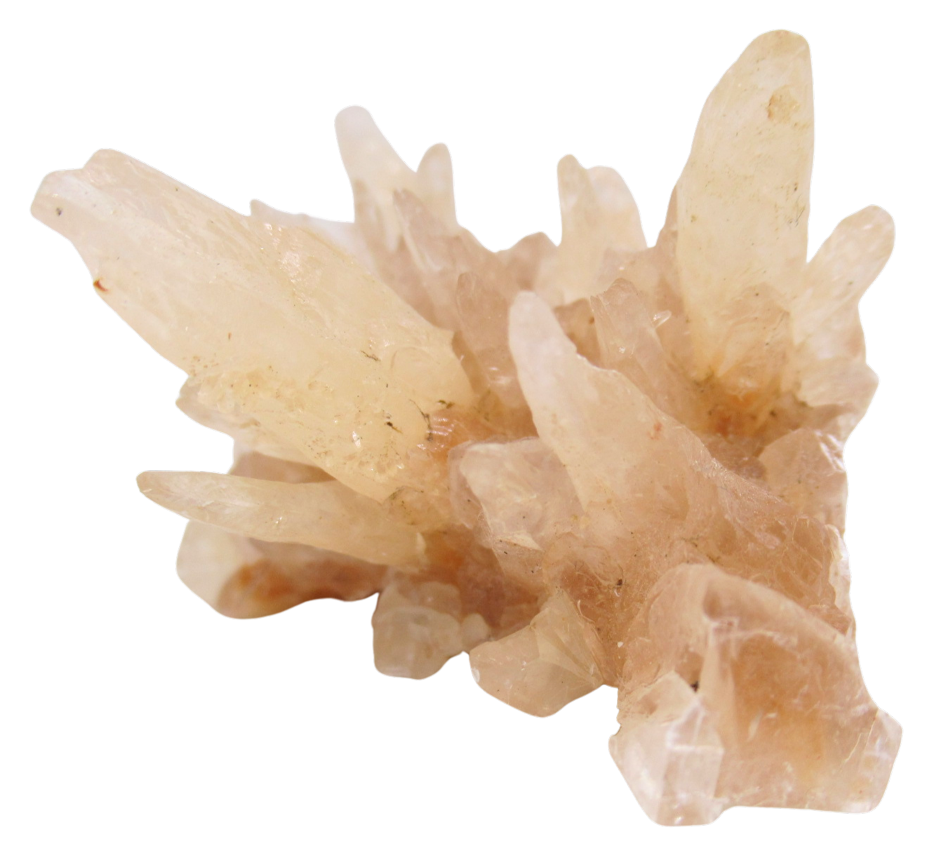 Dogtooth Calcite Minerals for Sale from Morocco Calcium Carbonate 2b | Fossils for Sale Dogtooth Calcite Minerals for Sale from Morocco Calcium Carbonate #2b
