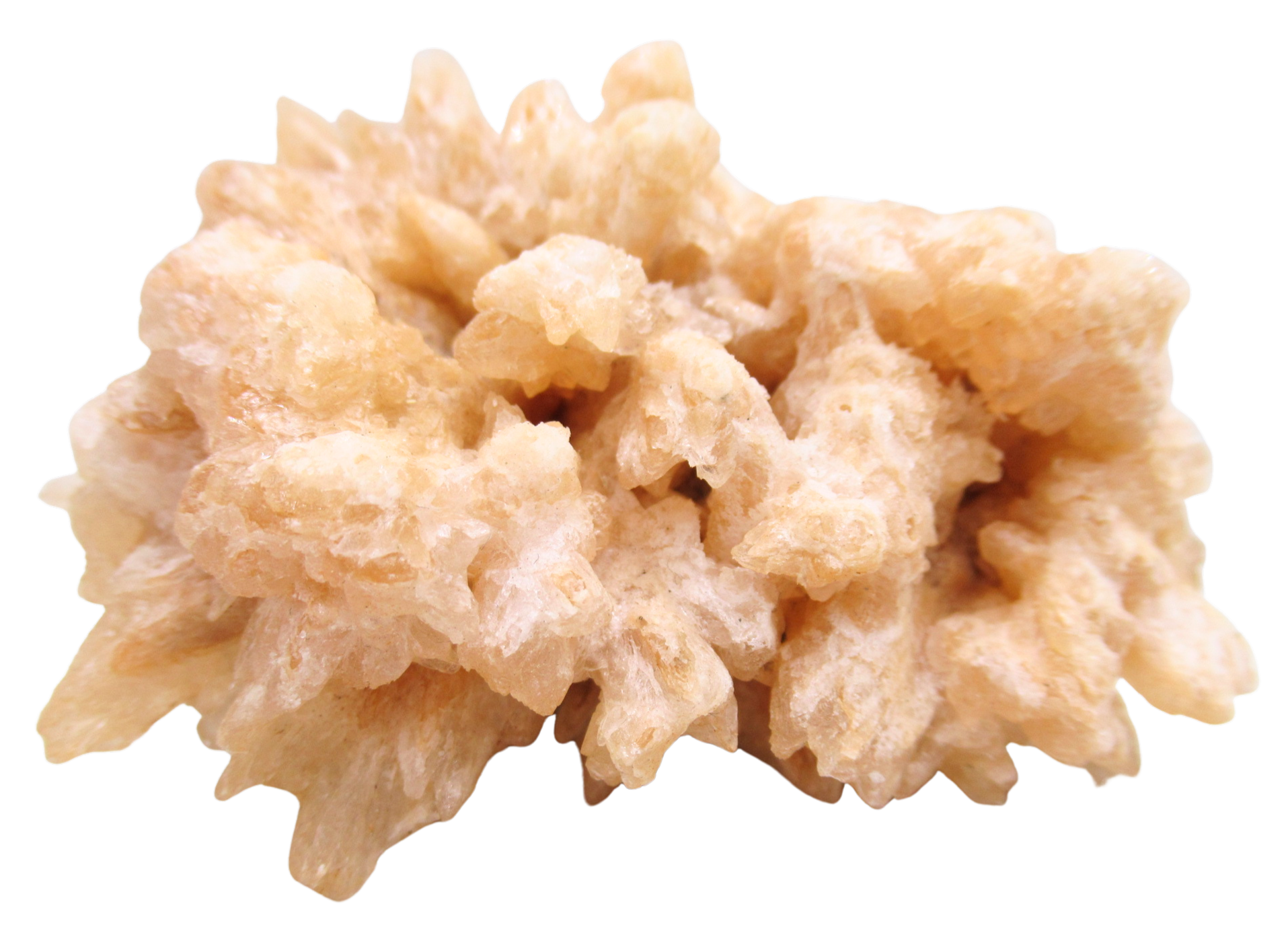 Dogtooth Calcite Minerals for Sale from Morocco Calcium Carbonate 8a | Fossils for Sale Dogtooth Calcite Minerals for Sale from Morocco Calcium Carbonate #8a