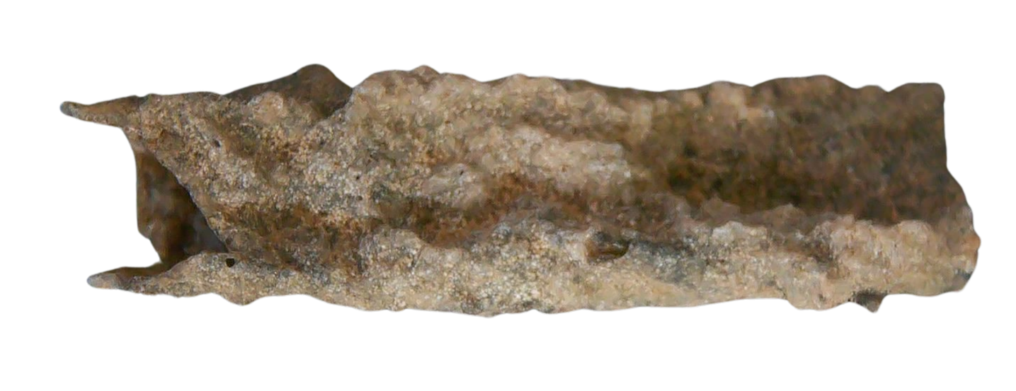 Fossil Lightning Fulgurites For Sale Lightning Glass Created by Lightning Strikes 217 Long 28a | Fossils for Sale
