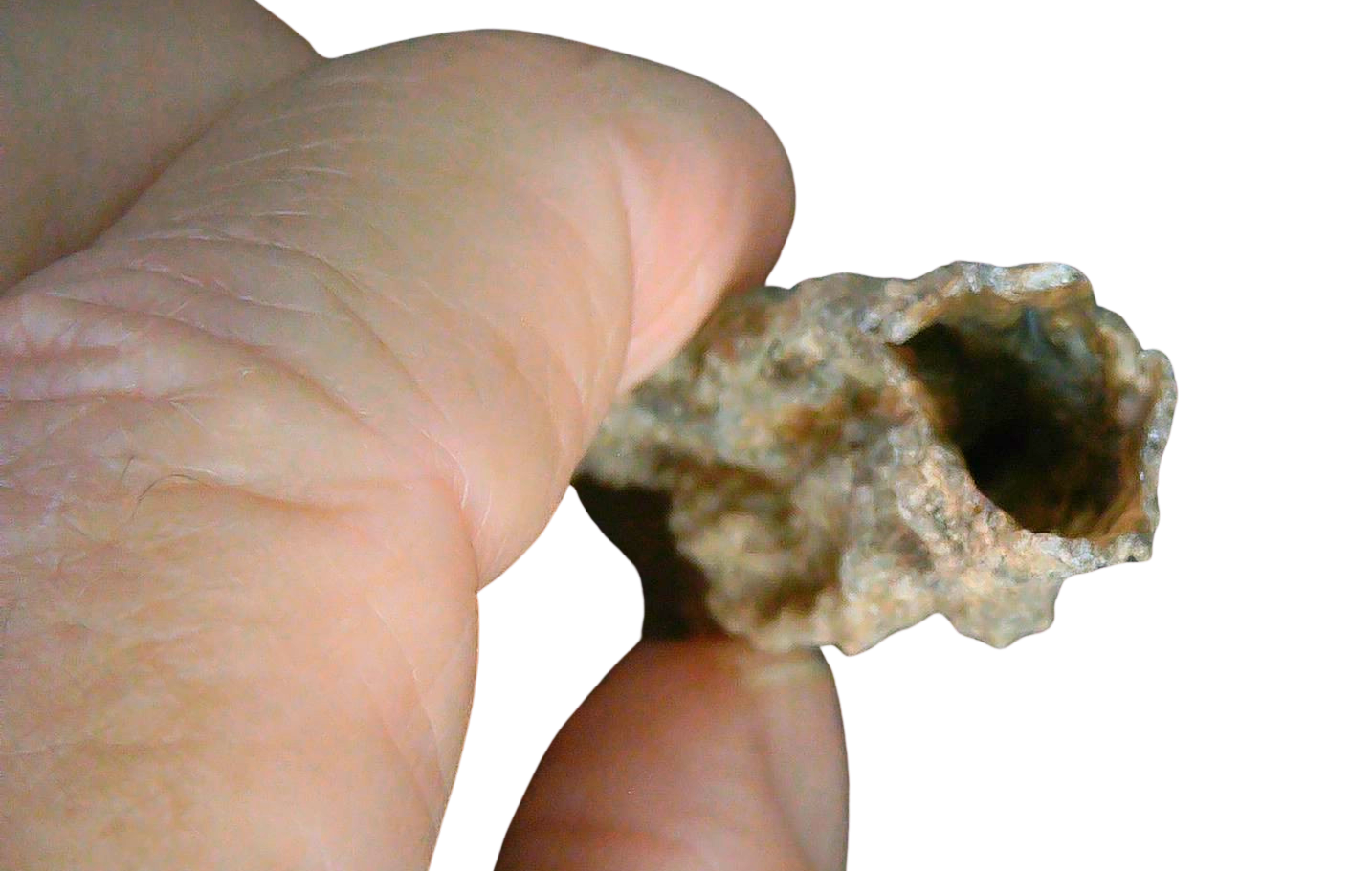 Fossil Lightning Fulgurites For Sale Lightning Glass Created by Lightning Strikes 217 Long 28c | Fossils for Sale