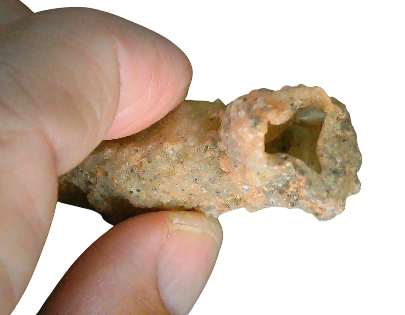 Fossil Lightning Fulgurites For Sale Lightning Glass Created by Lightning Strikes 220 Long 31c | Fossils for Sale