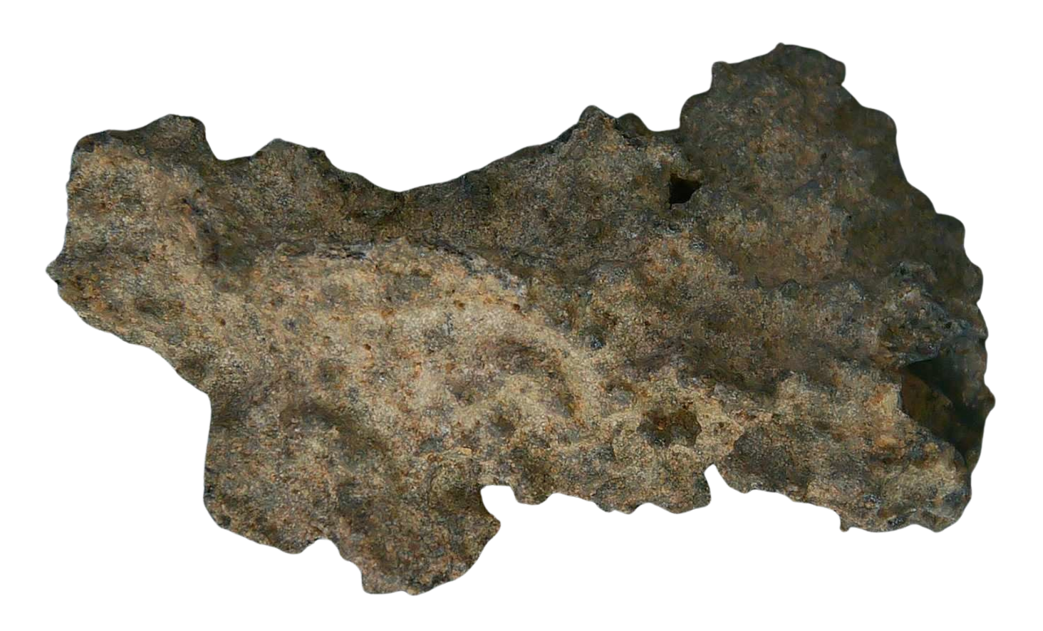 Fossil Lightning Fulgurites For Sale Lightning Glass Created by Lightning Strikes 229 Long 29a | Fossils for Sale