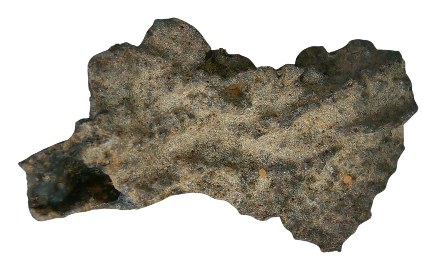 Fossil Lightning Fulgurites For Sale Lightning Glass Created by Lightning Strikes 229 Long 29b | Fossils for Sale