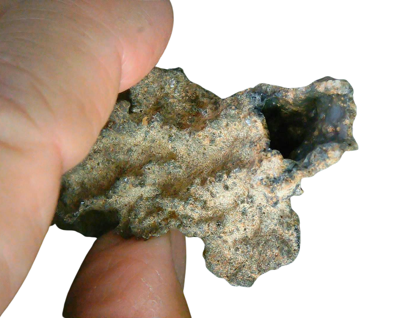Fossil Lightning Fulgurites For Sale Lightning Glass Created by Lightning Strikes 229 Long 29c | Fossils for Sale
