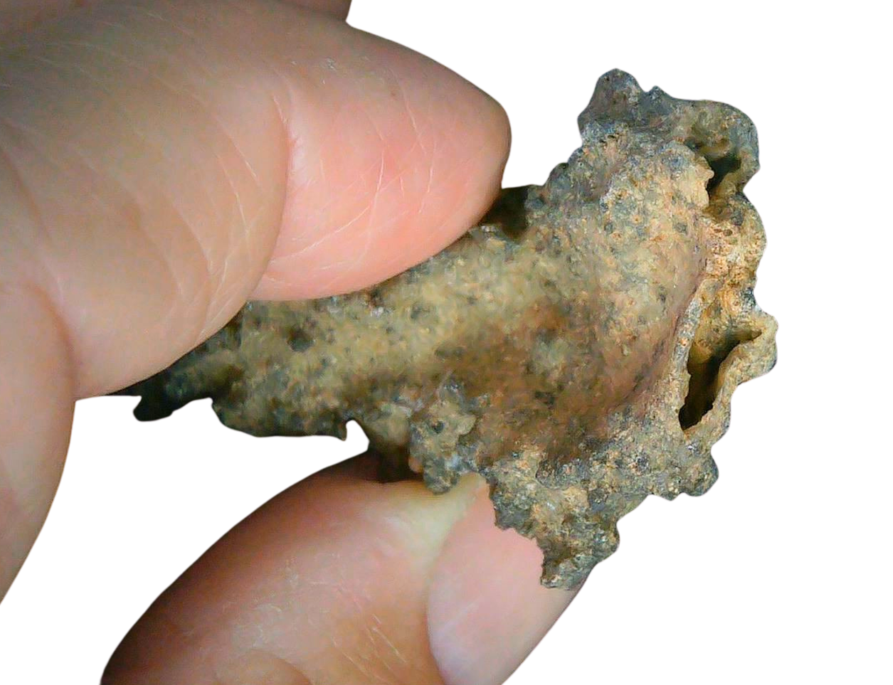 Fossil Lightning Fulgurites For Sale Lightning Glass Created by Lightning Strikes 234 Long 33c | Fossils for Sale