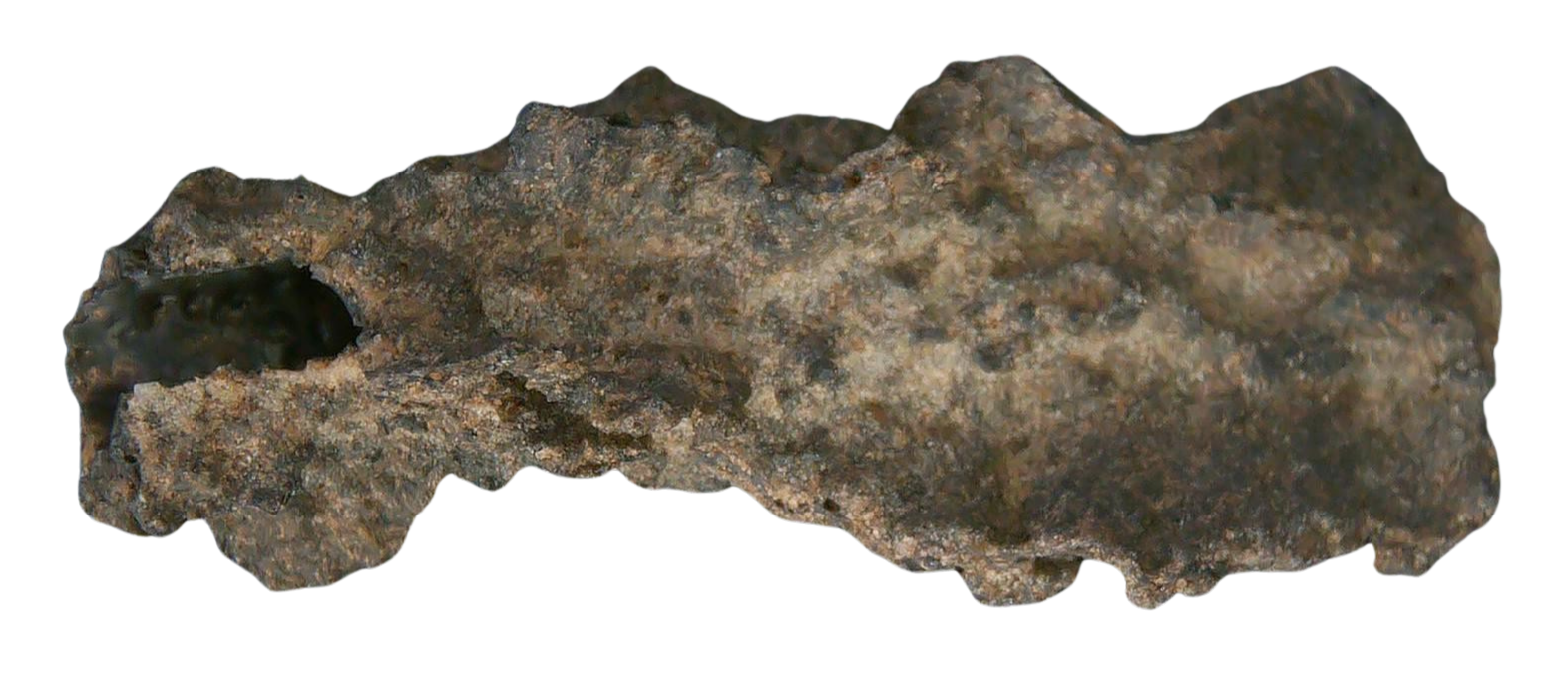 Fossil Lightning Fulgurites For Sale Lightning Glass Created by Lightning Strikes 247 Long 27a | Fossils for Sale