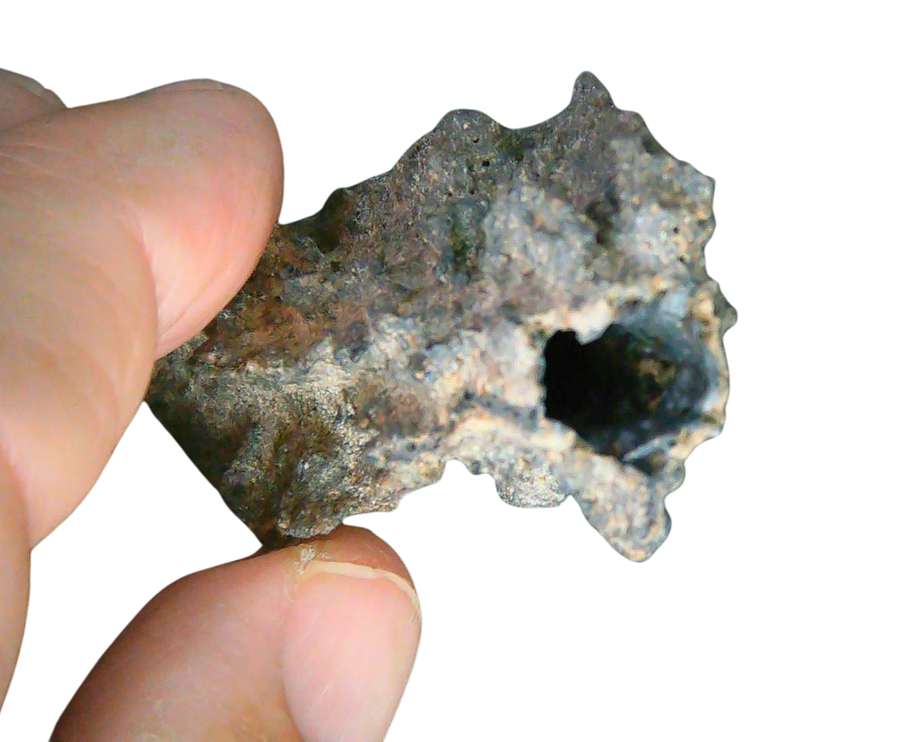 Fossil Lightning Fulgurites For Sale Lightning Glass Created by Lightning Strikes 247 Long 27c | Fossils for Sale