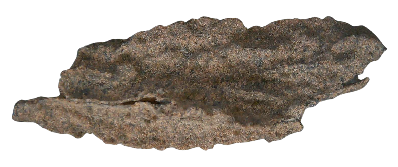 Fossil Lightning Fulgurites For Sale Lightning Glass Created by Lightning Strikes 261 Long 36a | Fossils for Sale