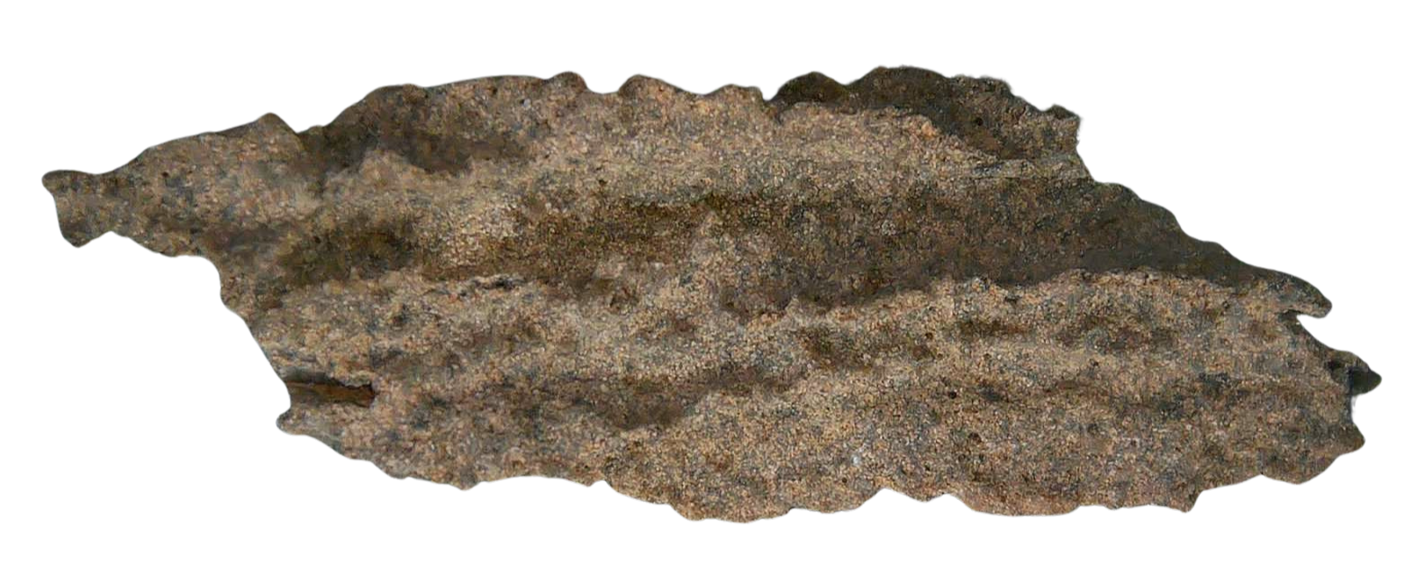 Fossil Lightning Fulgurites For Sale Lightning Glass Created by Lightning Strikes 261 Long 36b | Fossils for Sale