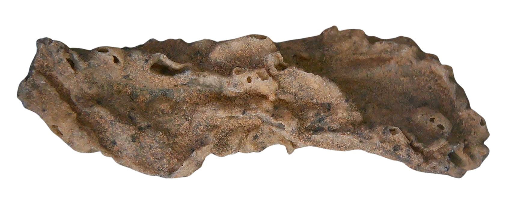 Fossil Lightning Fulgurites For Sale Lightning Glass Created by Lightning Strikes 270 Long 34a | Fossils for Sale