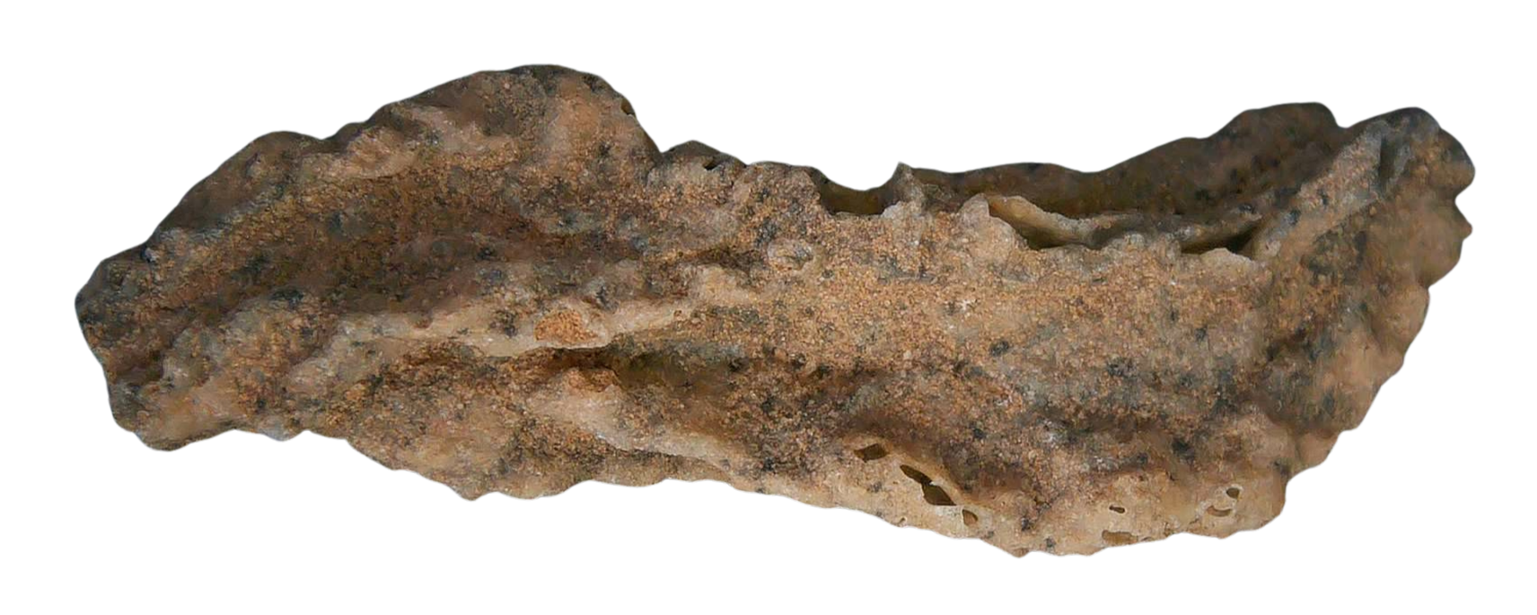 Fossil Lightning Fulgurites For Sale Lightning Glass Created by Lightning Strikes 270 Long 34b | Fossils for Sale