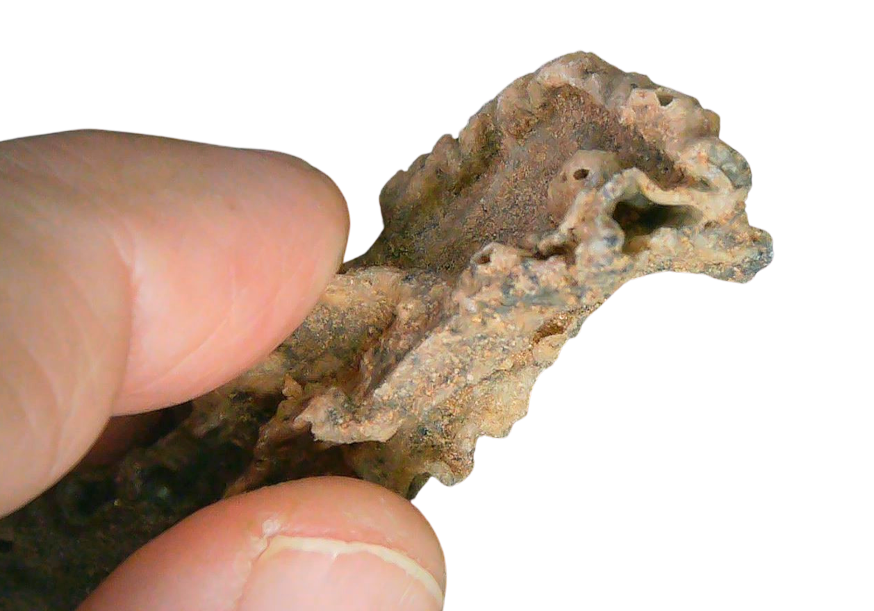 Fossil Lightning Fulgurites For Sale Lightning Glass Created by Lightning Strikes 270 Long 34c | Fossils for Sale