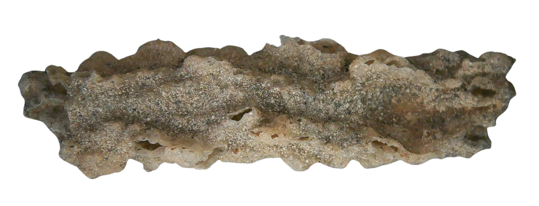 Fossil Lightning Fulgurites For Sale Lightning Glass Created by Lightning Strikes 279 Long 30a | Fossils for Sale