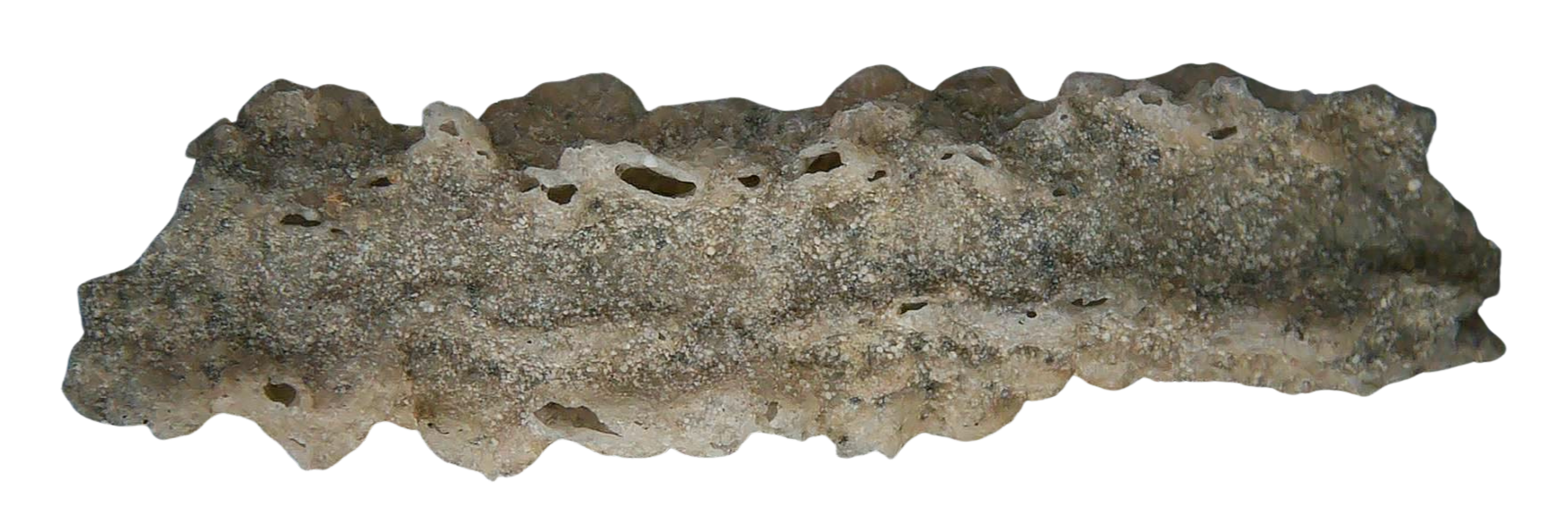 Fossil Lightning Fulgurites For Sale Lightning Glass Created by Lightning Strikes 279 Long 30b | Fossils for Sale